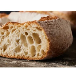 Bakels Broodverbeteraar Desem (Fermdor Active) 1kg Online