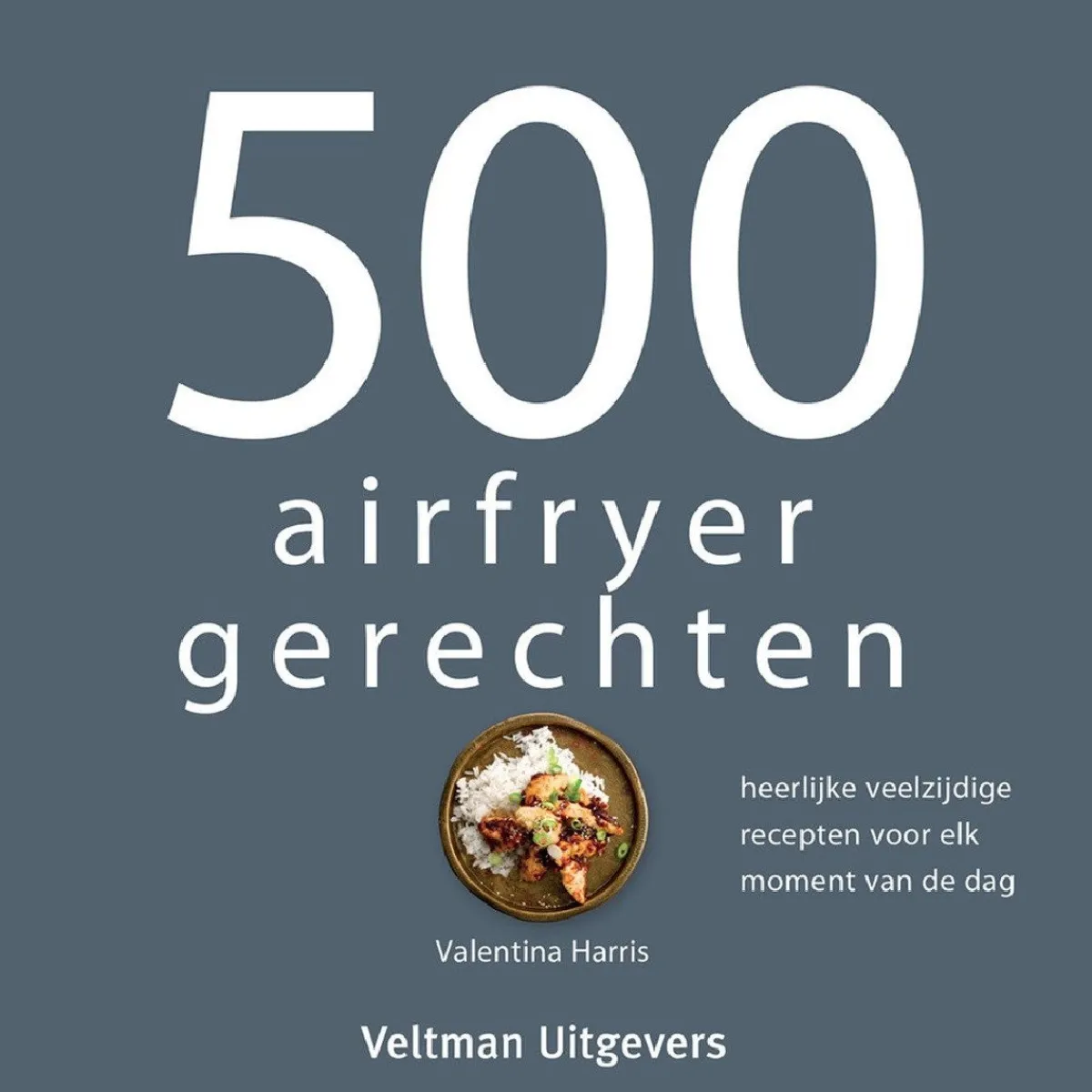 Boek: 500 Airfryer Gerechten New