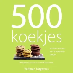 Boek: 500 Koekjes Online