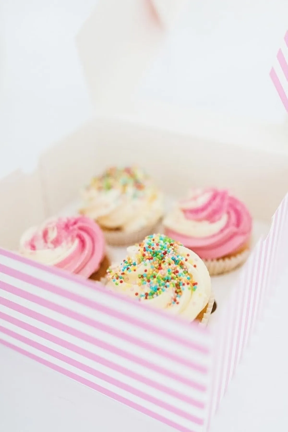 BrandNewCake Musketzaad (discodip) Mix 2000gr. Hot