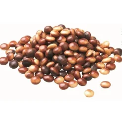 Callebaut Chocolade Callets Sensation Gemarmerd 2,5kg Best