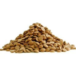 Callebaut Chocolade Callets Gold 20kg Outlet