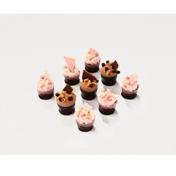 Callebaut Chocoladedecoratie Snobinette Cupje Puur 90st. Discount