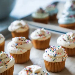 If You Care Cupcake Vormpjes Kraft Mini Ongebleekt 35x19mm 90st. Best