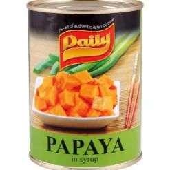 Overig Daily Papaya Op Siroop 565g Best