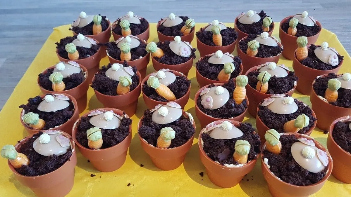 Dobla Chocoladedecoratie Bloempot Large (28 stuks) Best