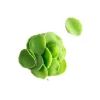 Dobla Chocoladedecoratie Blaadjes Mini Groen (1kg) Discount
