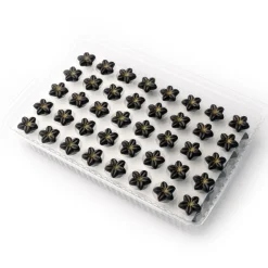 Dobla Chocoladedecoratie Bloem Puur (80 stuks) Best