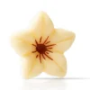 Dobla Chocoladedecoratie Bloemetje Wit (76 stuks) Hot