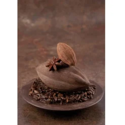 Dobla Chocoladedecoratie Cacaoboon (20 stuks) New