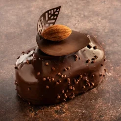 Dobla Chocoladedecoratie Gebogen Blad (96 stuks) Clearance