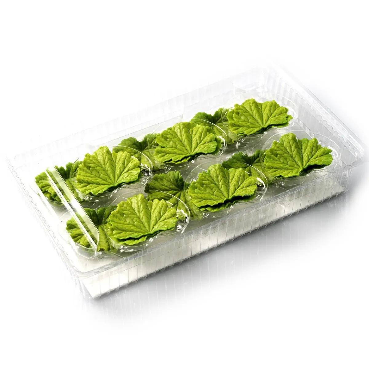 Dobla Chocoladedecoratie Lenteblad Groen (24 stuks) Clearance