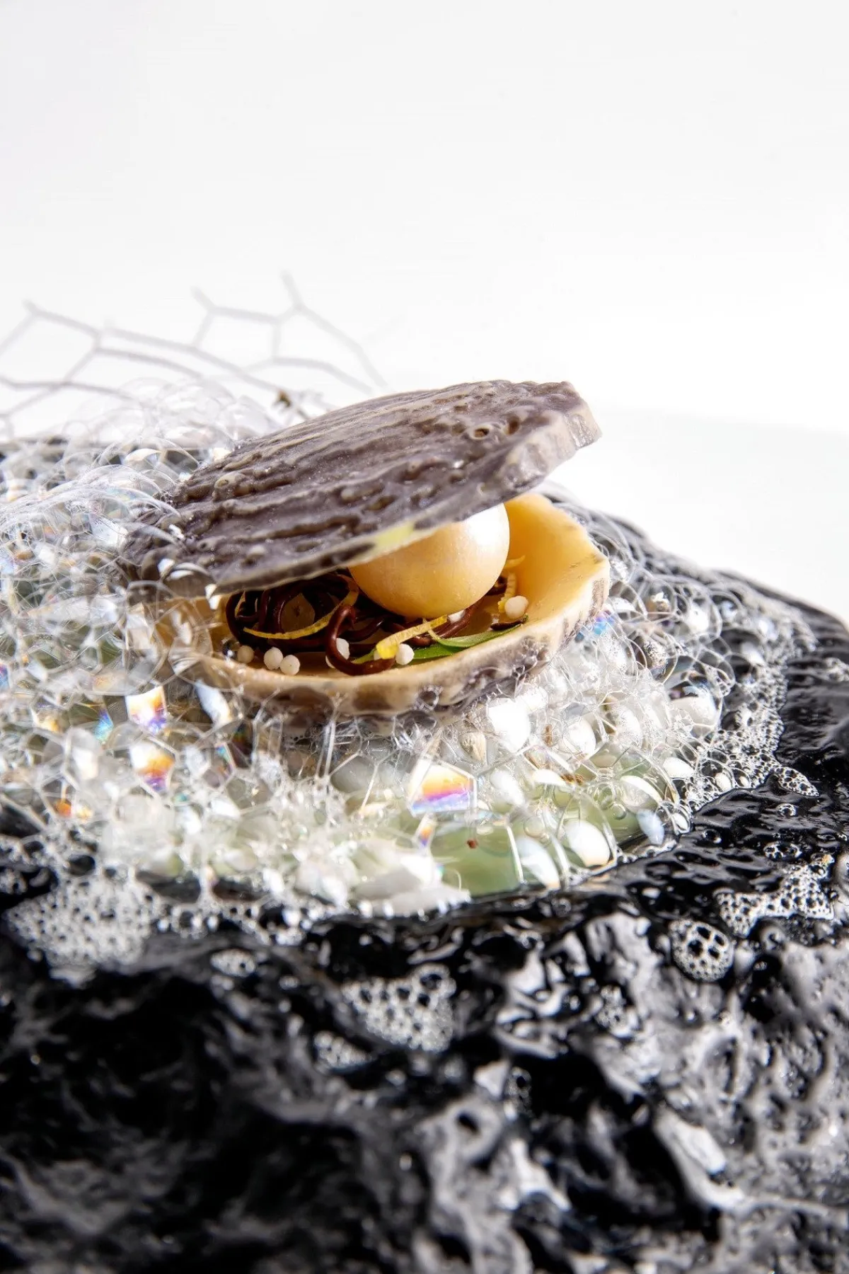 Dobla Chocoladedecoratie Oester (12 stuks) Discount
