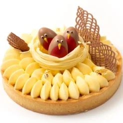 Dobla Chocoladedecoratie Roodborstje (36 stuks)** Online