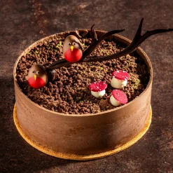 Dobla Chocoladedecoratie Roodborstje (36 stuks)** Online