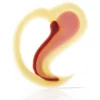 Dobla Chocoladedecoratie Sweet Hart (64 stuks) Online