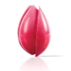 Dobla Chocoladedecoratie Tulp Rood (20 stuks) New