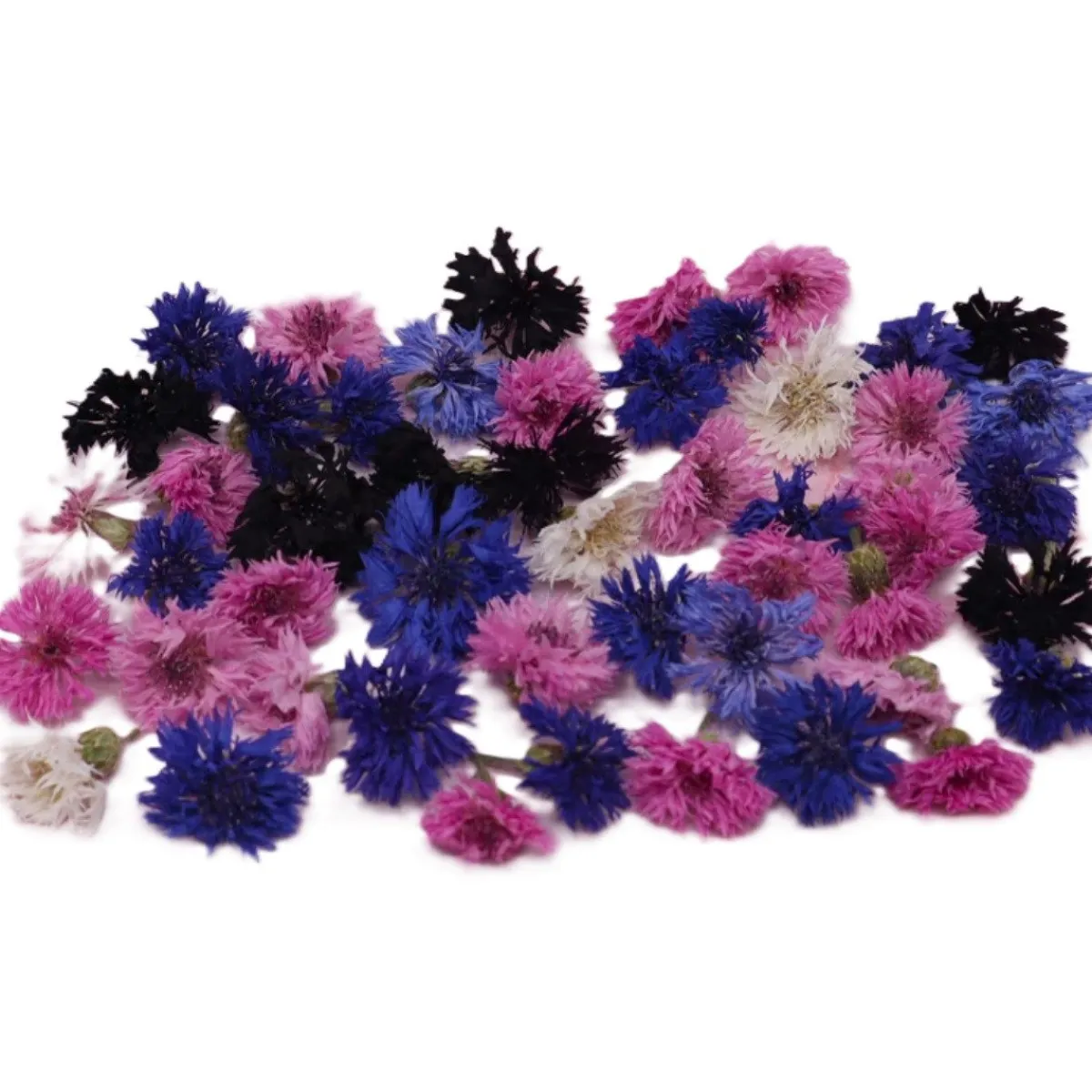 Overig Eetbare Gedroogde Korenbloemen (25 stuks) Outlet