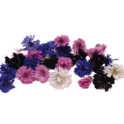 Overig Eetbare Gedroogde Korenbloemen (50 stuks) Discount