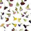 Overig Eetbare Gedroogde Primula (50 stuks) Outlet