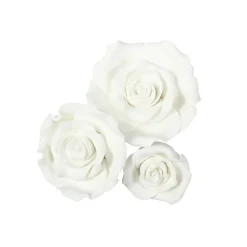 Culpitt Fondant Rozen Wit Assortiment 12 stuks Best