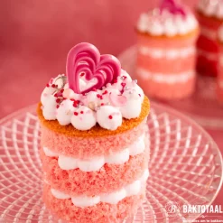 Günthart Chocoladedecoratie Hartjes Roze 24st. Online