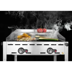 Hendi Green Fire 2 branders incl. 2 RVS GN 1/1 roosters New