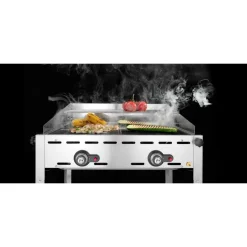 Hendi Green Fire 2 branders incl. 2 RVS GN 1/1 roosters New