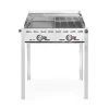 Hendi Green Fire 2 branders incl. bakplaat + GN 1/1 rooster Online