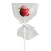 House of Marie HoM Cakepops / Lollipop zakjes 10x15cm 50st. Best
