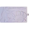 Karen Davies Mold Tropische Bladeren Hot