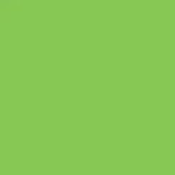 PME Kleurstof gel Lime Crush 25 gram Best