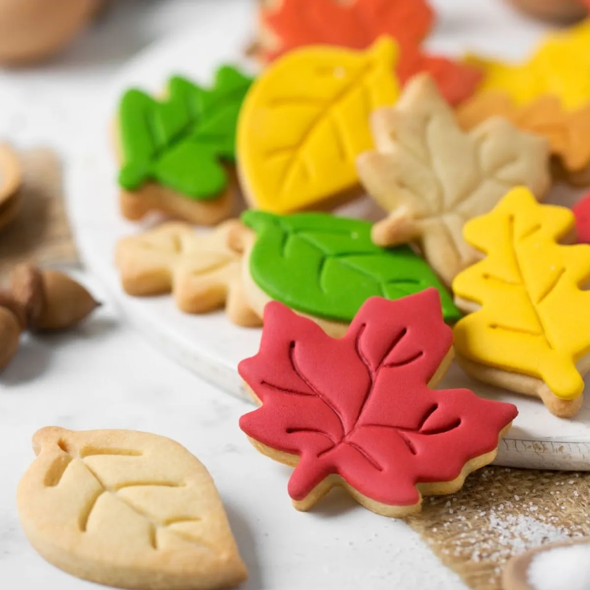 Decora Koekjes Uitstekerset Bladeren Set/3 Clearance