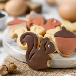 Decora Koekjes Uitstekerset Eekhoorn & Eikel Outlet
