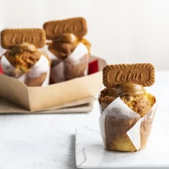 Lotus Biscoff Speculoos Koekjes 250g Clearance