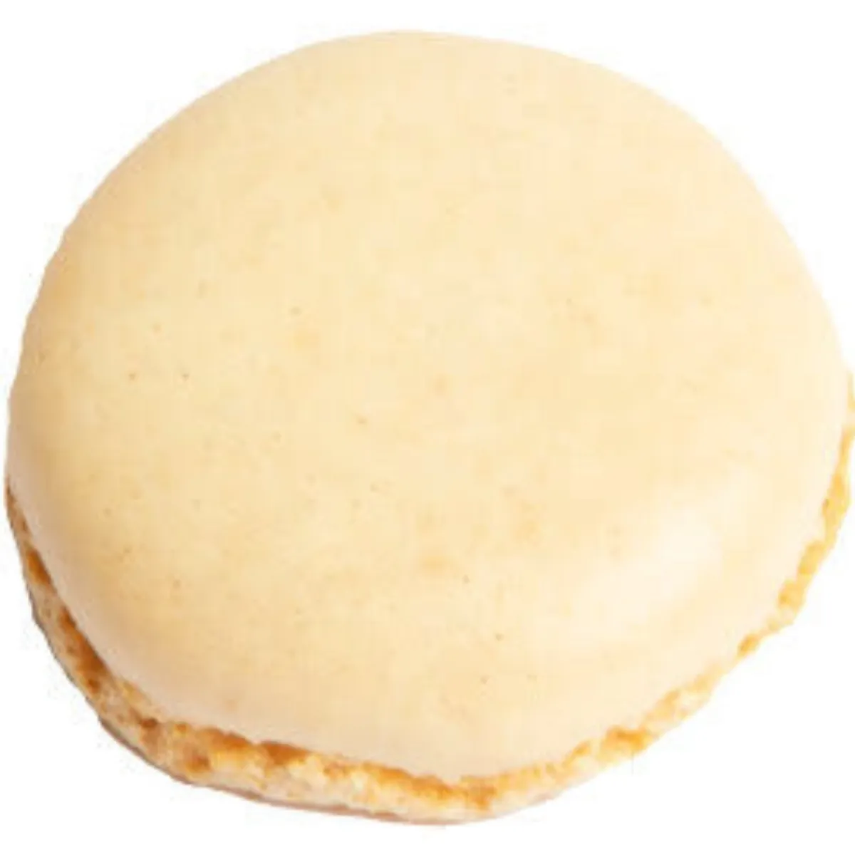 Overig Macarons Vanille Ø3,5cm 160st. Best