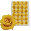 Overig Marsepein Rozen Geel 6-blads 25mm (24 st.) Discount