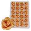 Overig Marsepein Rozen Zalm 6-blads 25mm (24 st.) Online