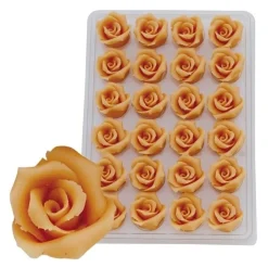 Overig Marsepein Rozen Zalm 6-blads 25mm (24 st.) Online