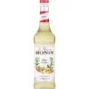 Monin Siroop Gember 700ml Online