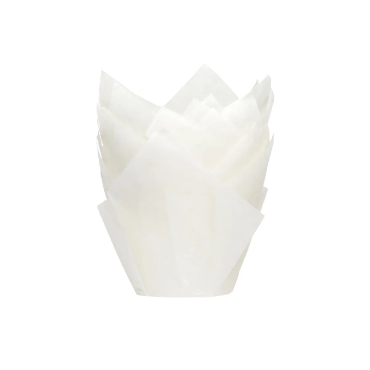 House of Marie Muffin Cups HoM Tulp Wit 36st.