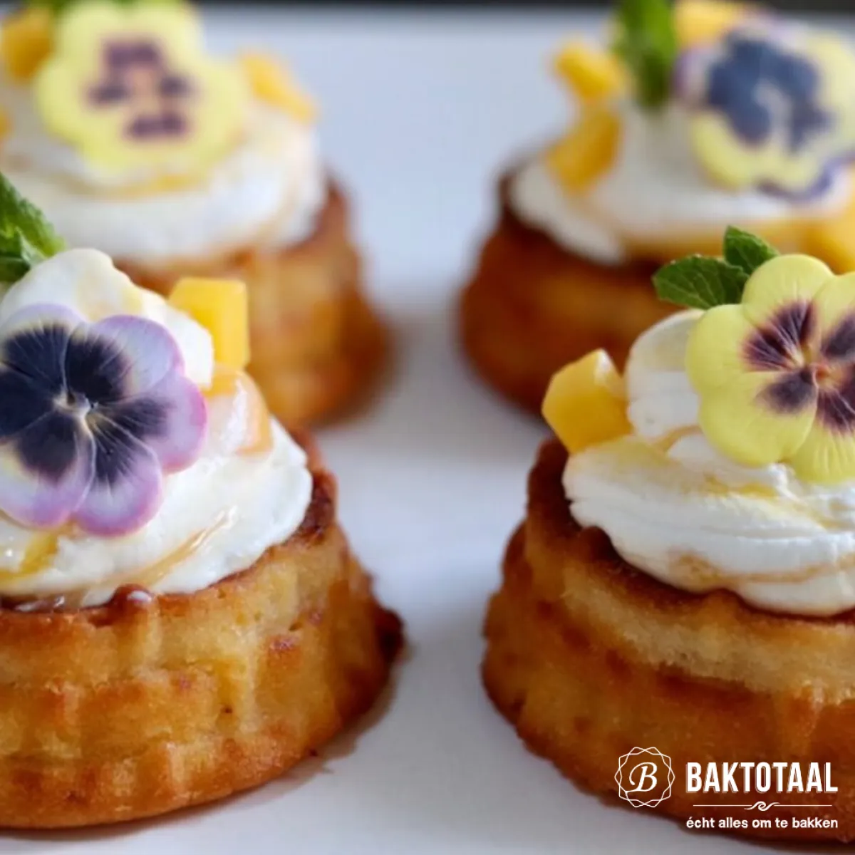 Nordic Ware Shortcake Mandjes Bakvorm Sale