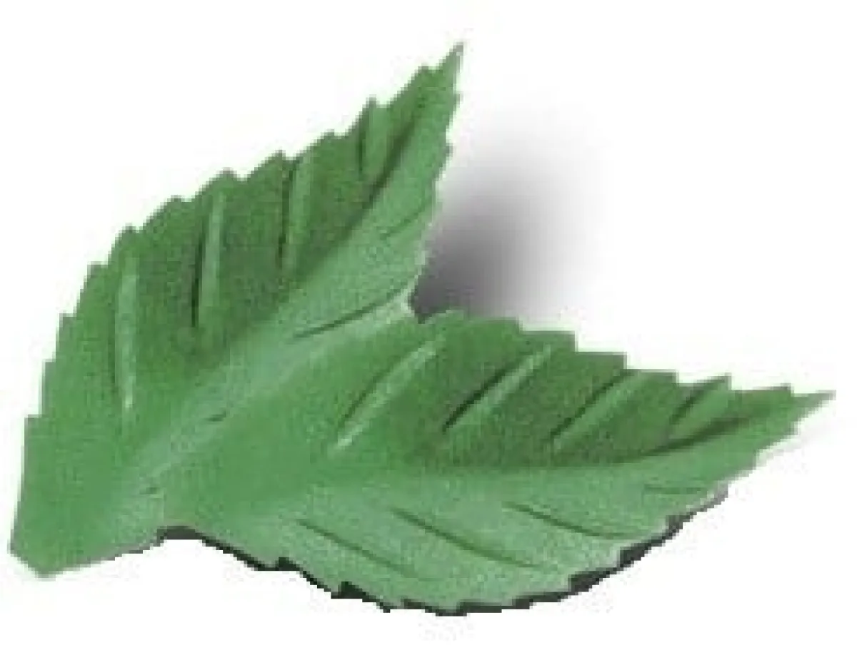 Overig Ouwel Blaadjes Gekarteld Groen 38mm (1000st) Hot