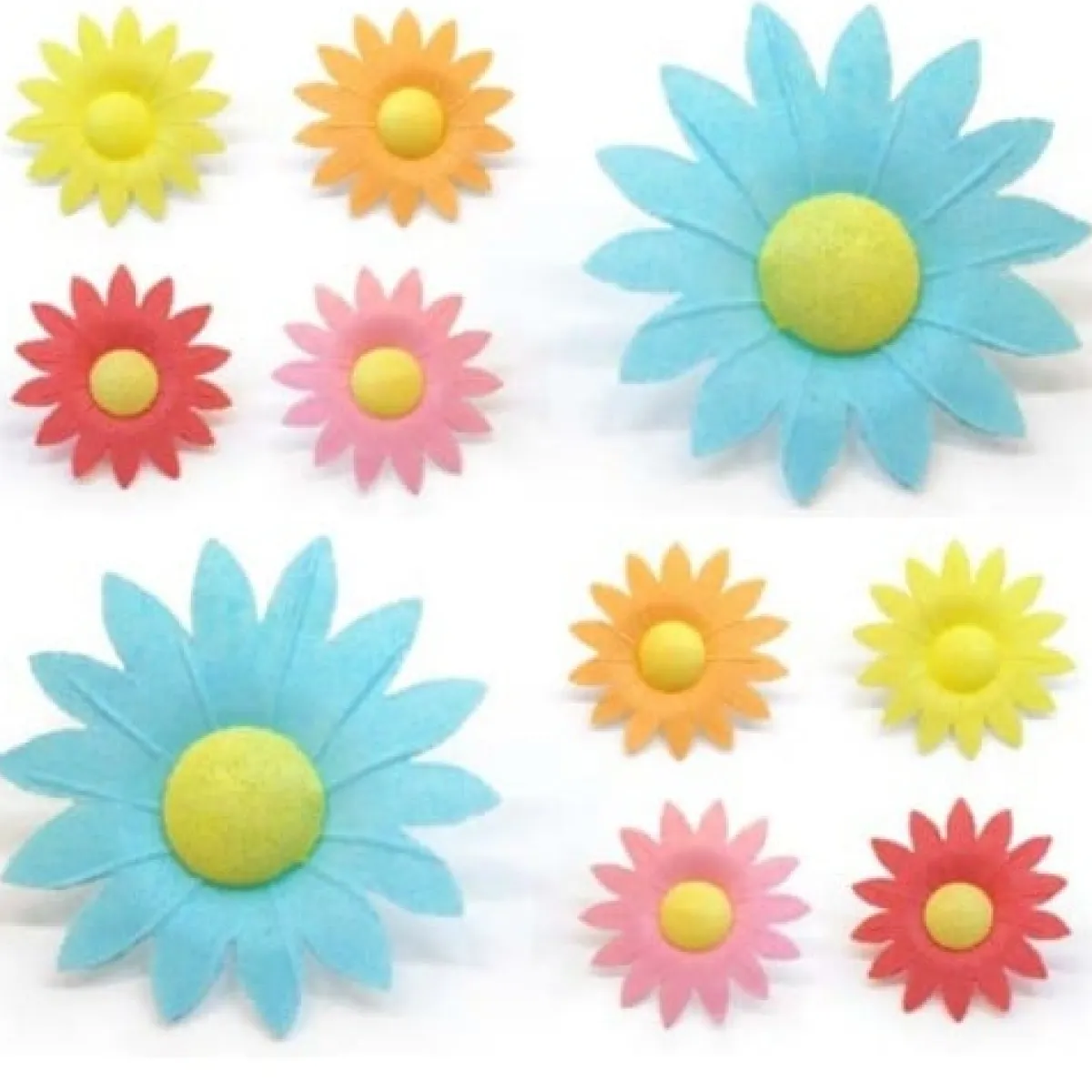 Overig Ouwelbloemen Margrieten 5 kleuren ass., 100 st. Hot