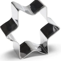 Patisse Uitsteker Ster RVS 4cm**