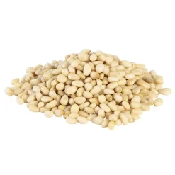 BrandNewCake Pijnboompitten 100g Best
