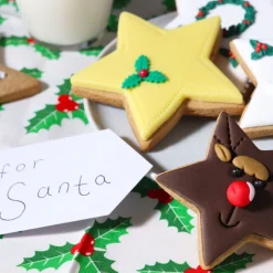 PME Koekjes Uitstekers Sterren Set/3 Outlet