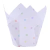 PME Muffin Cups Regenboog Stippen 24st Online
