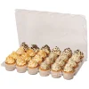 PME Plastic Cupcakehouders (24) Set/3 Online