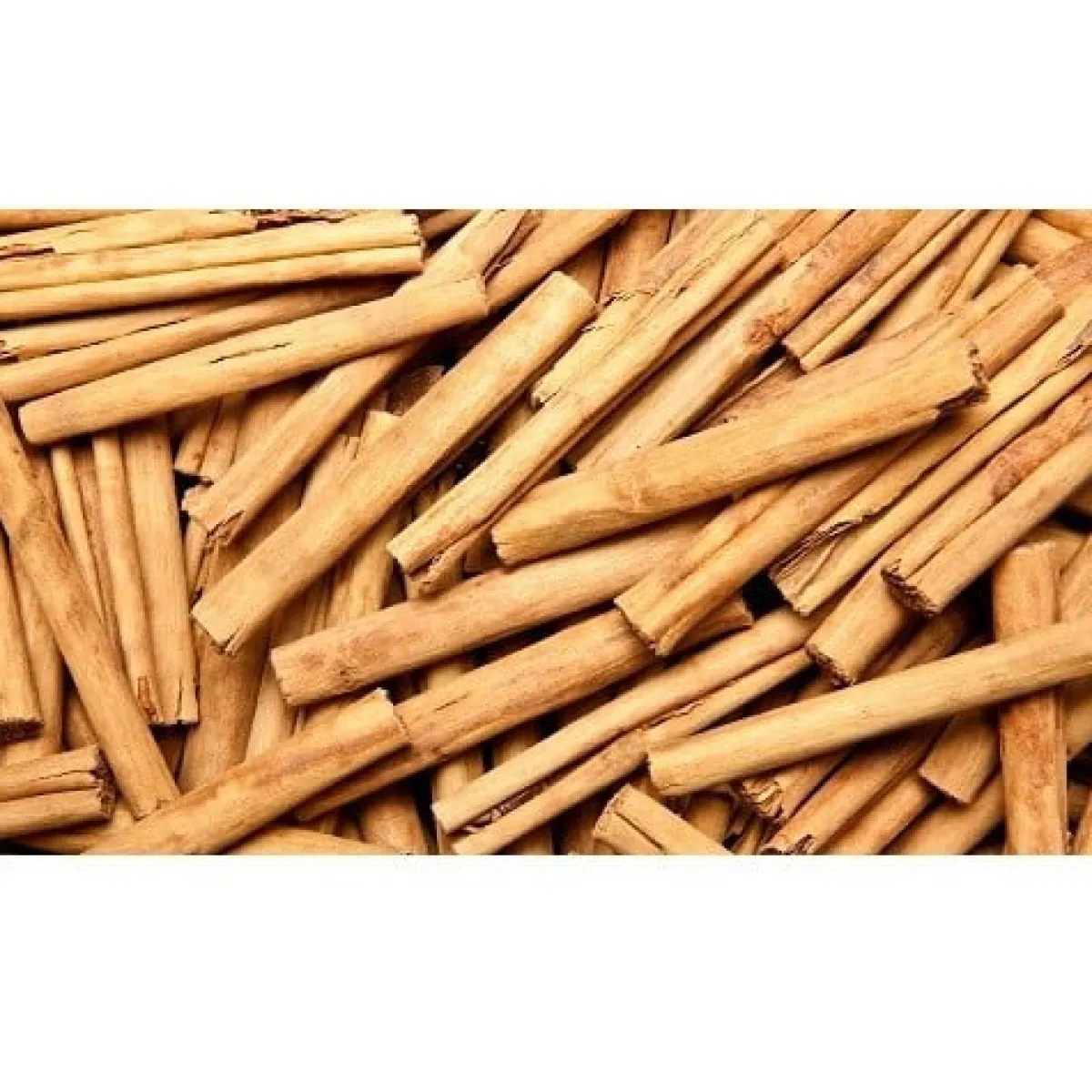 Polak Pijpkaneel (kaneelstokjes) Ceylon 8 cm 1 kg Hot